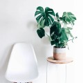 item-3