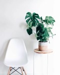 item-3