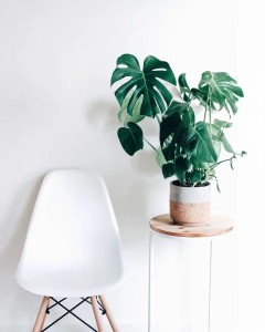 item-3