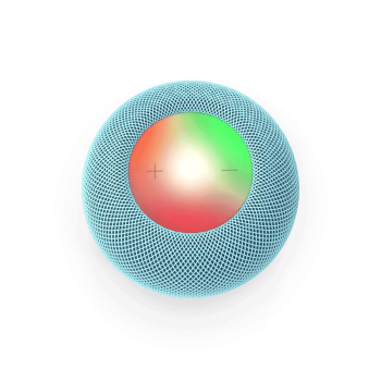 Voice Assistant