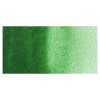 Van Gogh : Tüp Sulu Boya : 10 ml : Hooker Green Light