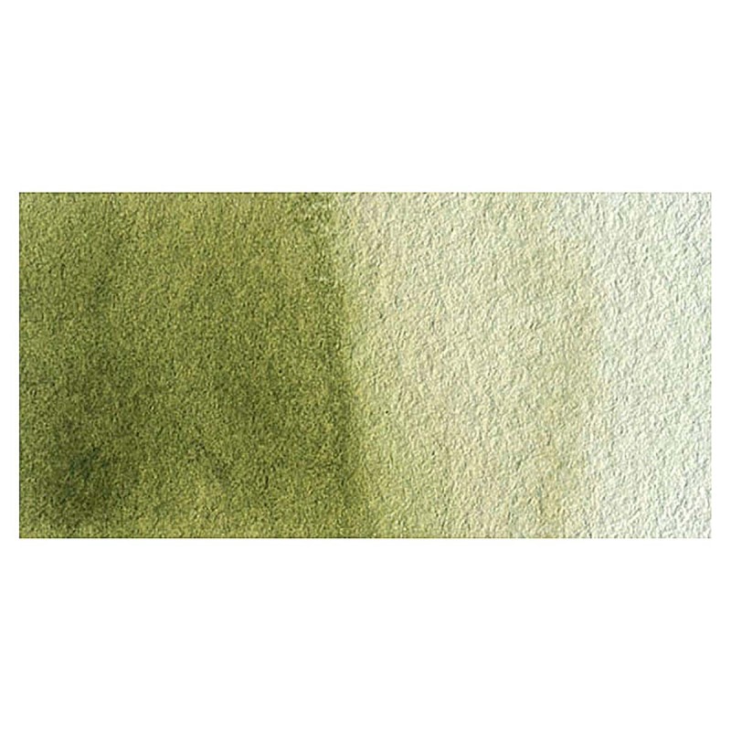 Van Gogh : Tüp Sulu Boya : 10 ml : Olive Green