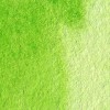 Van Gogh : Tüp Sulu Boya : 10 ml : Permanent Yellowish Green