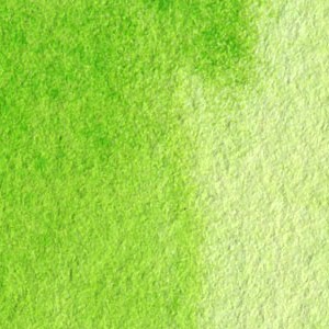 Van Gogh : Tüp Sulu Boya : 10 ml : Permanent Yellowish Green