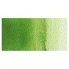 Van Gogh : Tüp Sulu Boya : 10 ml : Sap Green