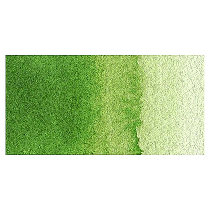 Van Gogh : Tüp Sulu Boya : 10 ml : Sap Green