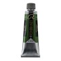 Rembrandt : Yağlı Boya : 150 ml : Sap Green