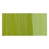 Rembrandt : Yağlı Boya : 40 ml : Cinnabar Green Light
