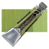 Rembrandt : Yağlı Boya : 40 ml : Cinnabar Green Light