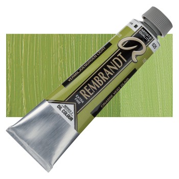 Rembrandt : Yağlı Boya : 40 ml : Cinnabar Green Light