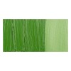 Rembrandt : Yağlı Boya : 40 ml : Cinnabar Green Medium