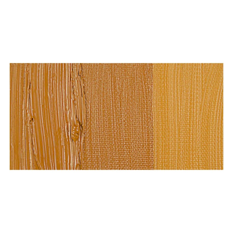 Rembrandt : Yağlı Boya : 40 ml : Gold Ochre