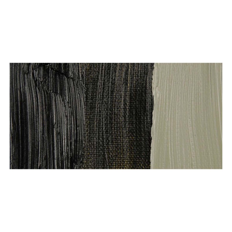Rembrandt : Yağlı Boya : 40 ml : Greenish Umber