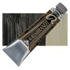 Rembrandt : Yağlı Boya : 40 ml : Greenish Umber