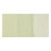 Rembrandt : Yağlı Boya : 40 ml : Naples Yellow Green