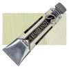 Rembrandt : Yağlı Boya : 40 ml : Naples Yellow Green
