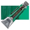 Rembrandt : Yağlı Boya : 40 ml : Permanent Green Deep