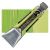 Rembrandt : Yağlı Boya : 40 ml : Permanent Yellowish Green