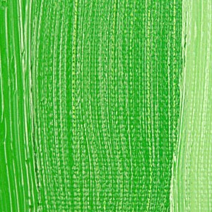 Rembrandt : Yağlı Boya : 40 ml : Permanent Green Light
