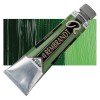Rembrandt : Yağlı Boya : 40 ml : Sap Green