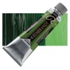 Rembrandt : Yağlı Boya : 150 ml : Sap Green