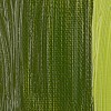 Rembrandt : Yağlı Boya : 40 ml : Transparent Yellow Green