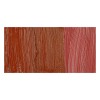 Rembrandt : Yağlı Boya : 150 ml : Venetian Red