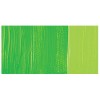 Amsterdam : Standart Akrilik Boya : 120 ml : Brilliant Green