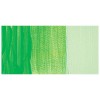 Amsterdam : Standart Akrilik Boya : 500 ml : Reflex Green