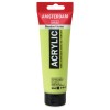 Amsterdam : Standart Akrilik Boya : 120 ml : Yellowish Green Light
