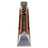 Rembrandt : Yağlı Boya : 40 ml : Transparent Oxide Yellow
