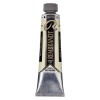 Rembrandt : Yağlı Boya : 40 ml : Naples Yellow Green
