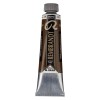 Rembrandt : Yağlı Boya : 40 ml : Greenish Umber