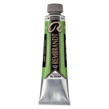 Rembrandt : Yağlı Boya : 40 ml : Permanent Green Medium