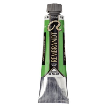 Rembrandt : Yağlı Boya : 40 ml : Permanent Green Light