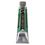 Rembrandt : Yağlı Boya : 40 ml : Permanent Green Deep