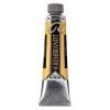 Rembrandt : Yağlı Boya : 40 ml : Light Gold