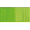 Amsterdam : Akrilik Mürekkep : 30 ml : Yellowish Green