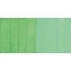 Amsterdam : Akrilik Mürekkep : 30 ml : Reflex Green