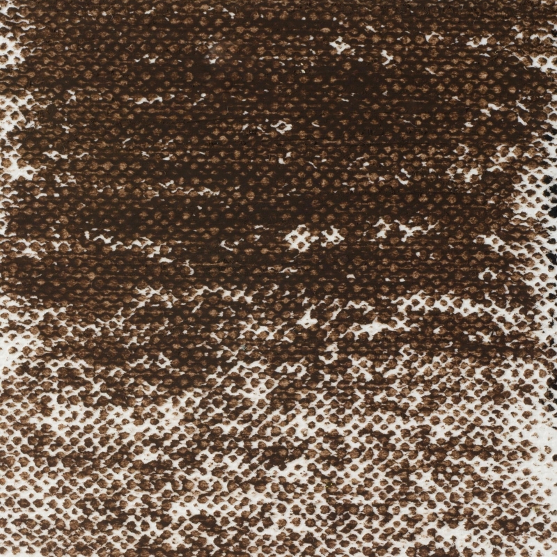 Van Gogh : Yağlı Pastel Boya : Sepia : 416.5