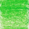 Van Gogh : Yağlı Pastel Boya : Permanent Green Medium : 614.5