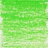 Van Gogh : Yağlı Pastel Boya : Permanent Green Medium : 614.7