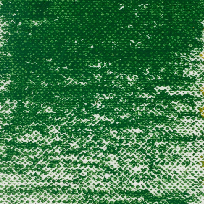 Van Gogh : Yağlı Pastel Boya : Sap Green : 623.5