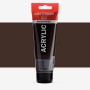Amsterdam : Standart Akrilik Boya : 120 ml : Vandyke Brown
