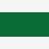 Amsterdam : Standart Akrilik Boya : 120 ml : Permanent Green Light