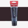 Amsterdam : Standart Akrilik Boya : 120 ml : Payne's Grey