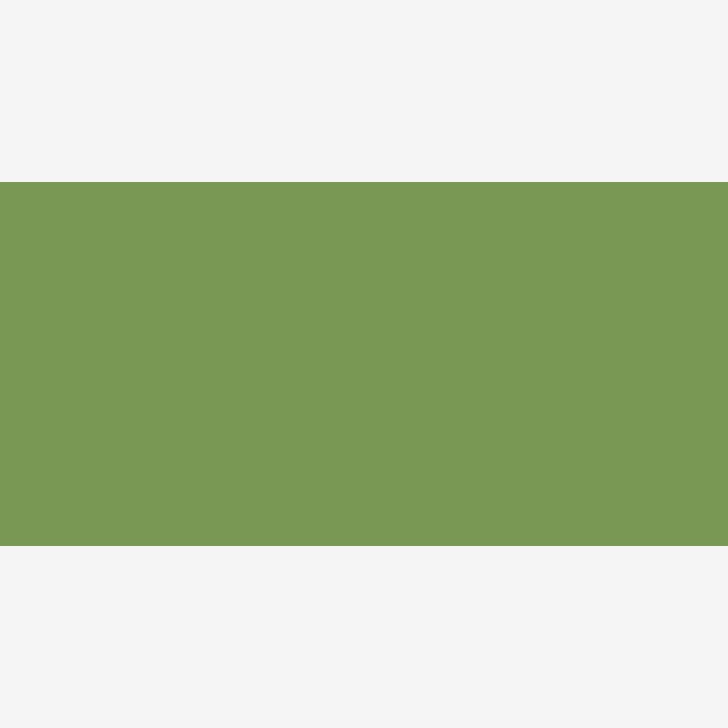 Talens : Ecoline : Sıvı Sulu Boya : 30 ml : Bronze Green