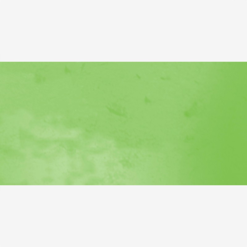 Talens : Ecoline : Fırça Uçlu Kalem : Light Green