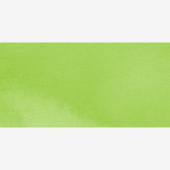 Talens : Ecoline : Fırça Uçlu Kalem : Spring Green