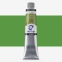 Van Gogh : Yağlı Boya : 200 ml : Sap Green